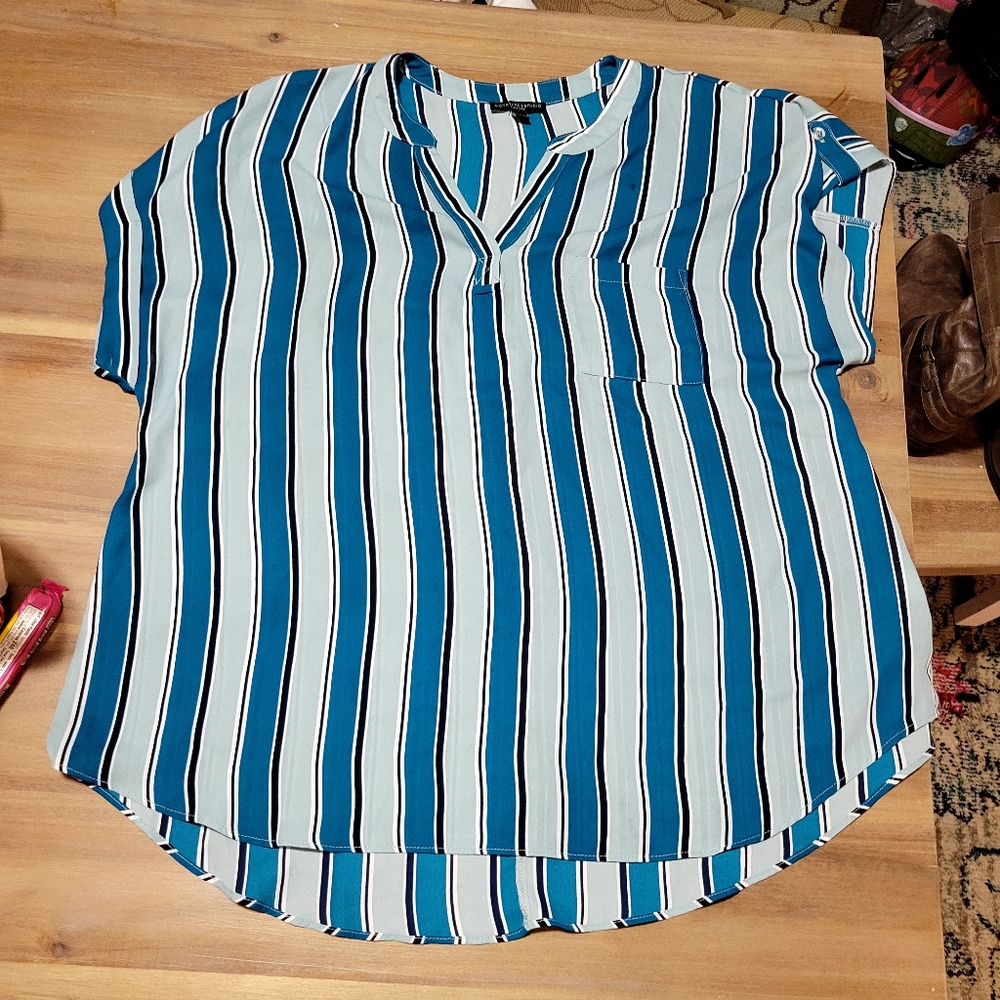 Signature studio Blouse womens size Plus 2x